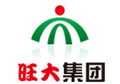 旺大集團網站建設完成上線！[廣州網站建設]