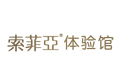 索菲亞DIY項目順利通過驗收！