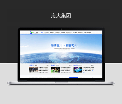廣東海大集團(tuán)股份有限公司官方網(wǎng)站建設(shè)開通上線！