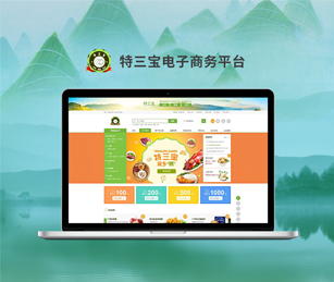 廣東高質資源環(huán)境研究院有限公司特三寶電子商務網站建設開通上線！
