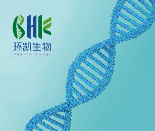 環(huán)凱生物官網(wǎng)網(wǎng)站建設(shè)項(xiàng)目開通上線啦！