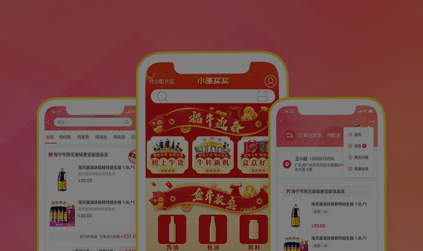 廣州網(wǎng)站建設(shè)-海天小康買買APP開發(fā)