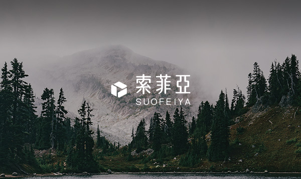索菲亞海外網(wǎng)站建設(shè)項(xiàng)目開(kāi)通上線(xiàn)啦！