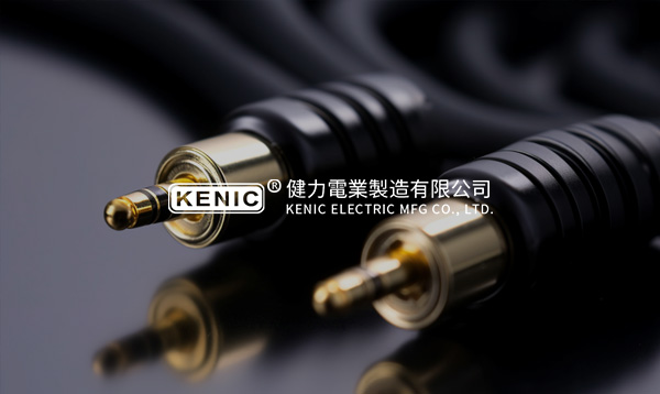 東莞健力電業(yè)制造廠官方網(wǎng)站建設(shè)項目開通上線啦！