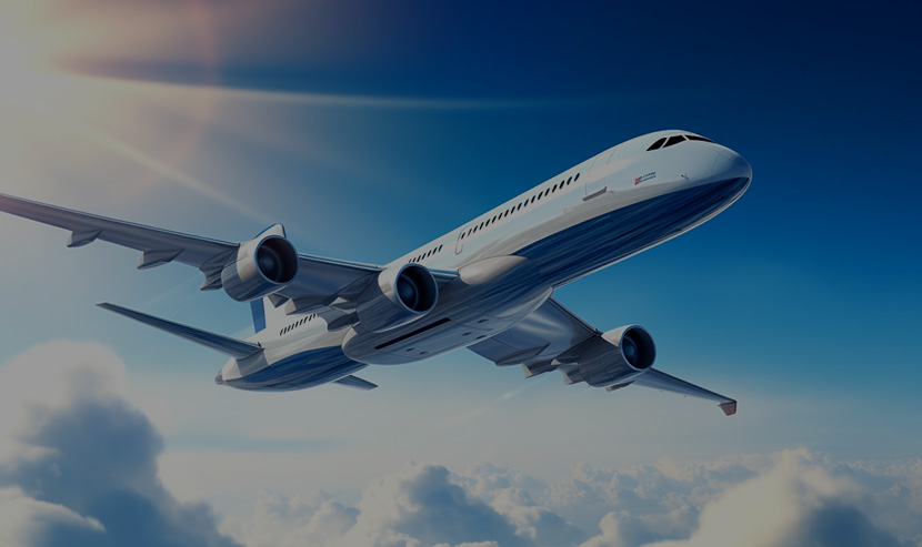 領空航空-小程序開發(fā)