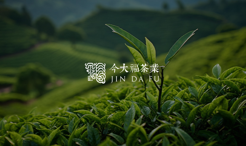 今大福官網(wǎng)改版開通上線啦！