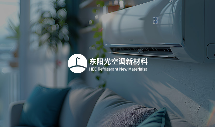 東陽(yáng)光氟空調(diào)新材料官網(wǎng)開(kāi)發(fā)建設(shè)完成