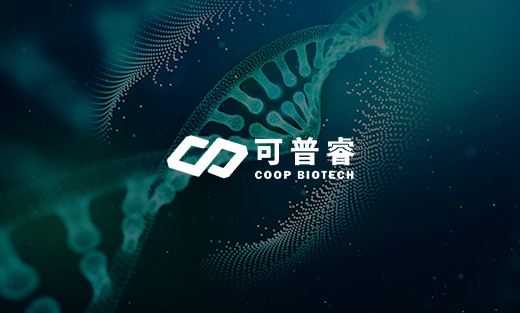 可普睿生物科技官網(wǎng)煥新上線，全方位展現(xiàn)研發(fā)實(shí)力與業(yè)務(wù)范疇